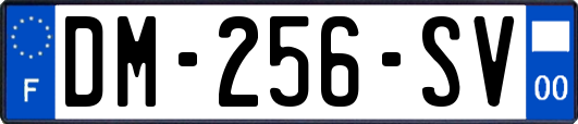 DM-256-SV