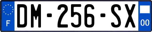 DM-256-SX