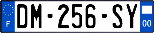 DM-256-SY