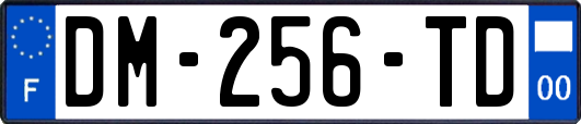 DM-256-TD