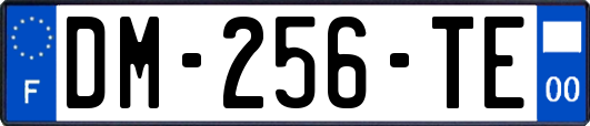 DM-256-TE