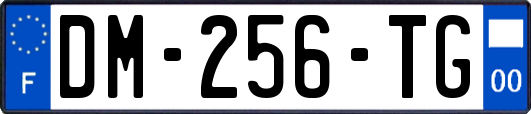 DM-256-TG