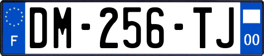 DM-256-TJ