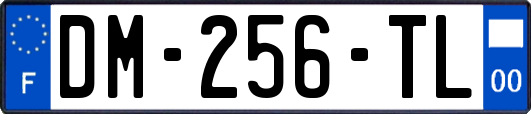 DM-256-TL