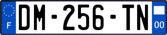 DM-256-TN