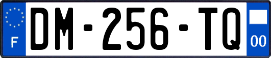 DM-256-TQ