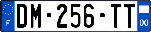DM-256-TT