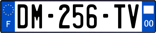 DM-256-TV