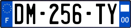 DM-256-TY