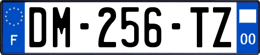 DM-256-TZ