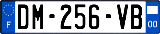 DM-256-VB