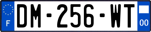 DM-256-WT