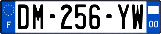 DM-256-YW