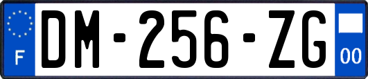 DM-256-ZG