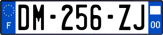 DM-256-ZJ