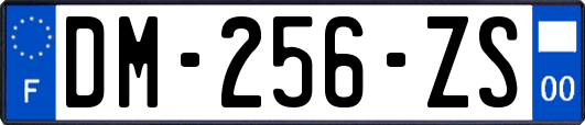 DM-256-ZS