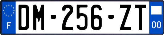 DM-256-ZT