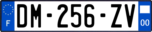 DM-256-ZV