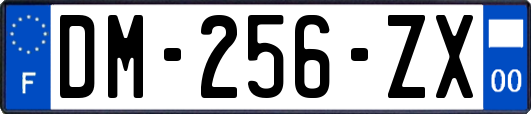 DM-256-ZX