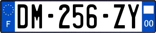 DM-256-ZY