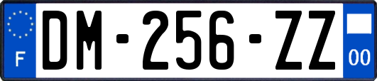 DM-256-ZZ