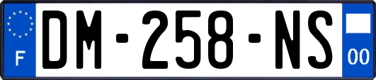 DM-258-NS