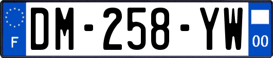 DM-258-YW