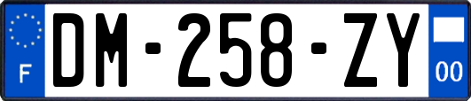 DM-258-ZY