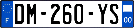 DM-260-YS