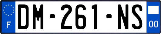 DM-261-NS