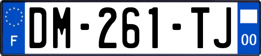 DM-261-TJ