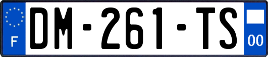DM-261-TS