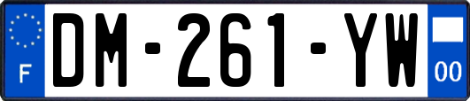 DM-261-YW