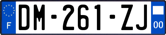 DM-261-ZJ