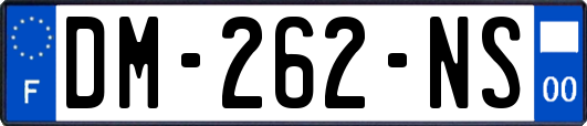 DM-262-NS