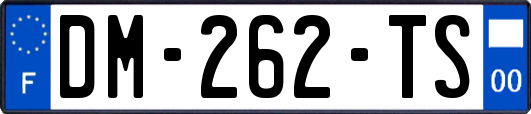 DM-262-TS