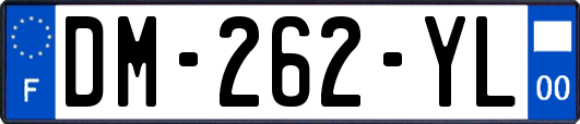 DM-262-YL