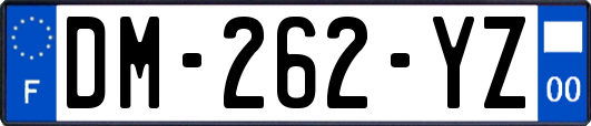 DM-262-YZ