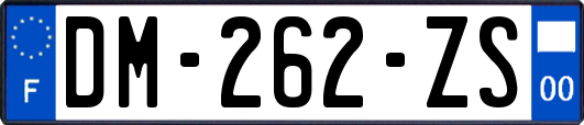 DM-262-ZS