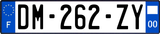 DM-262-ZY