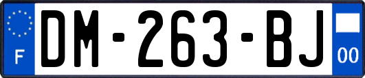 DM-263-BJ