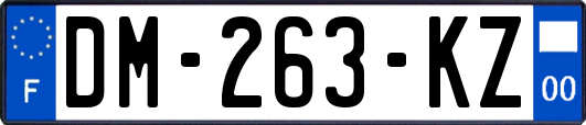 DM-263-KZ