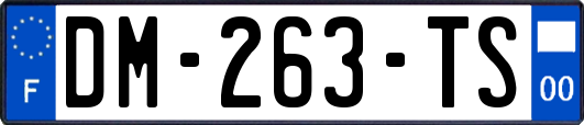 DM-263-TS