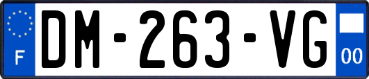 DM-263-VG