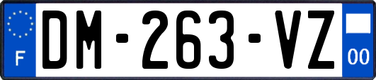 DM-263-VZ