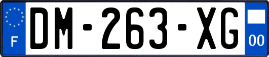 DM-263-XG