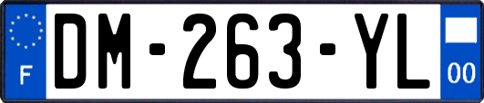 DM-263-YL