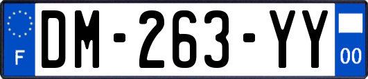 DM-263-YY