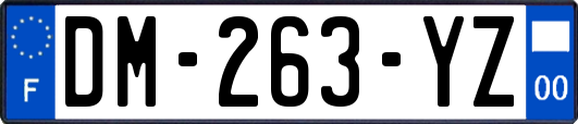 DM-263-YZ