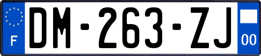 DM-263-ZJ